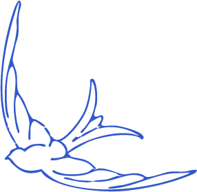 pajaro azul andrea loarte design studio